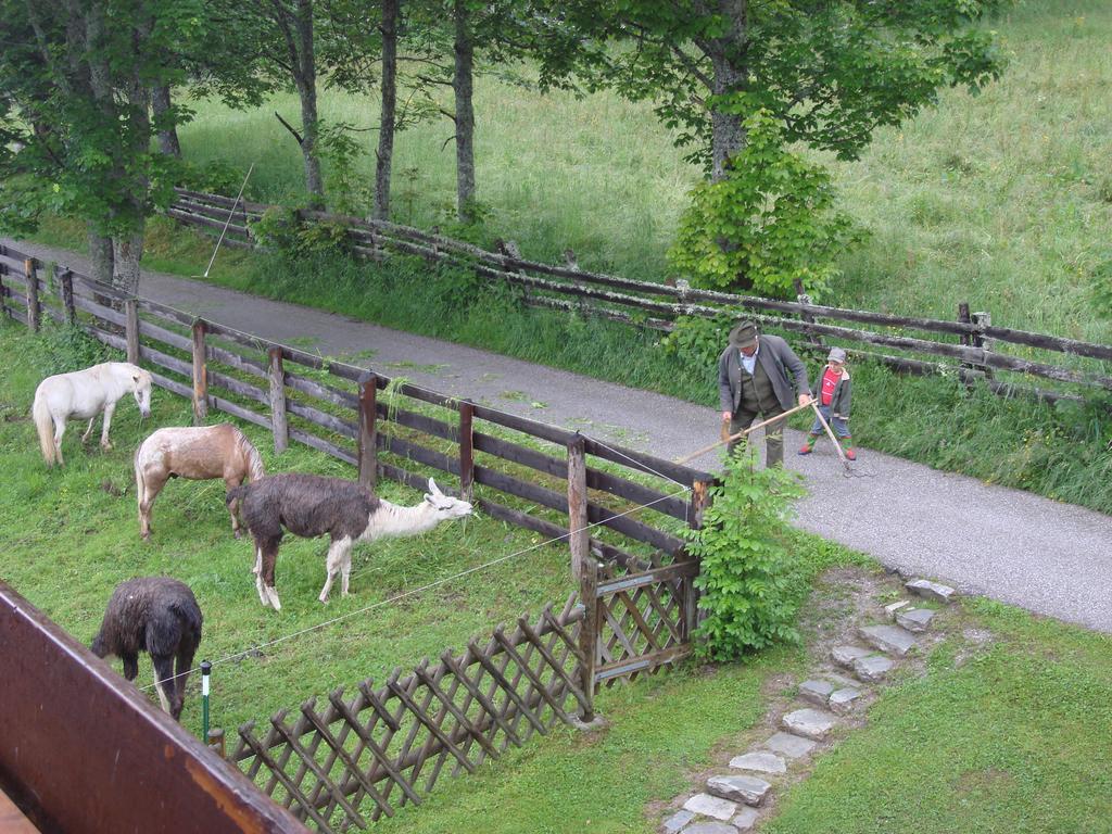 Pension Sonnwendhof Ramsau am Dachstein Buitenkant foto
