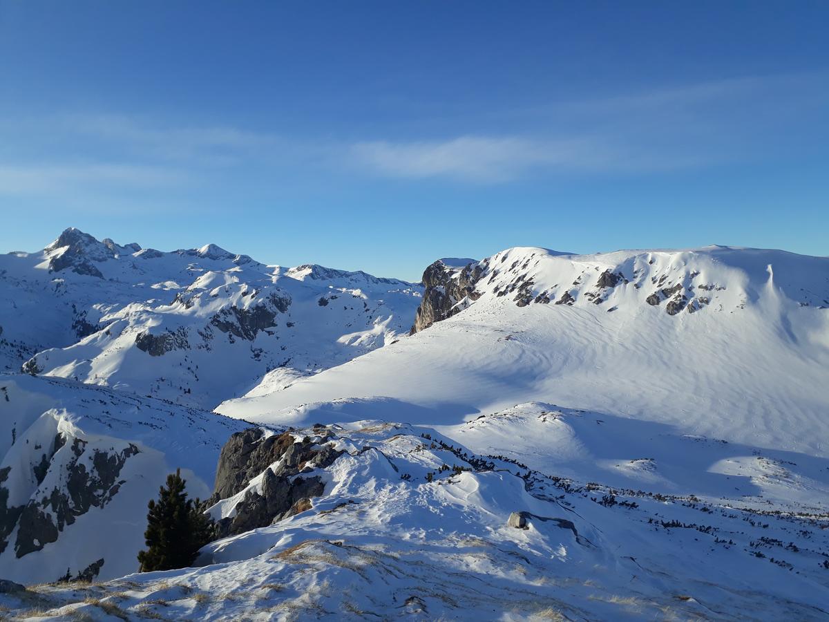 Pension Sonnwendhof Ramsau am Dachstein Buitenkant foto